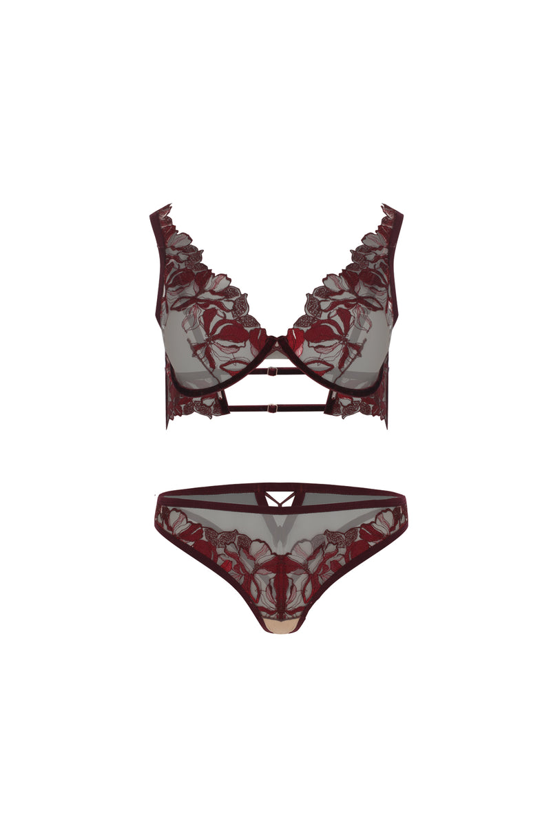 Tanga Kyo Burgundy